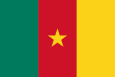 Cameroun Drapeau national